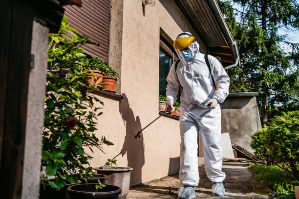 Best Flea Control Services  in Pecos, TX