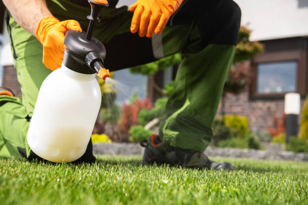 Best Ant Control Services  in Pecos, TX