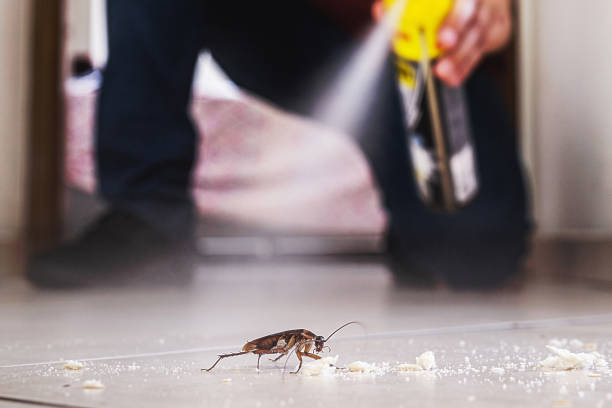 Reliable Pecos, TX Pest Control Solutions